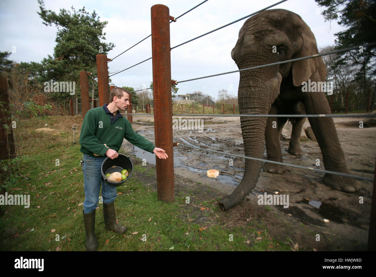 Artis Zoo In The Centre Of Amsterdam Stock Photo Alamy