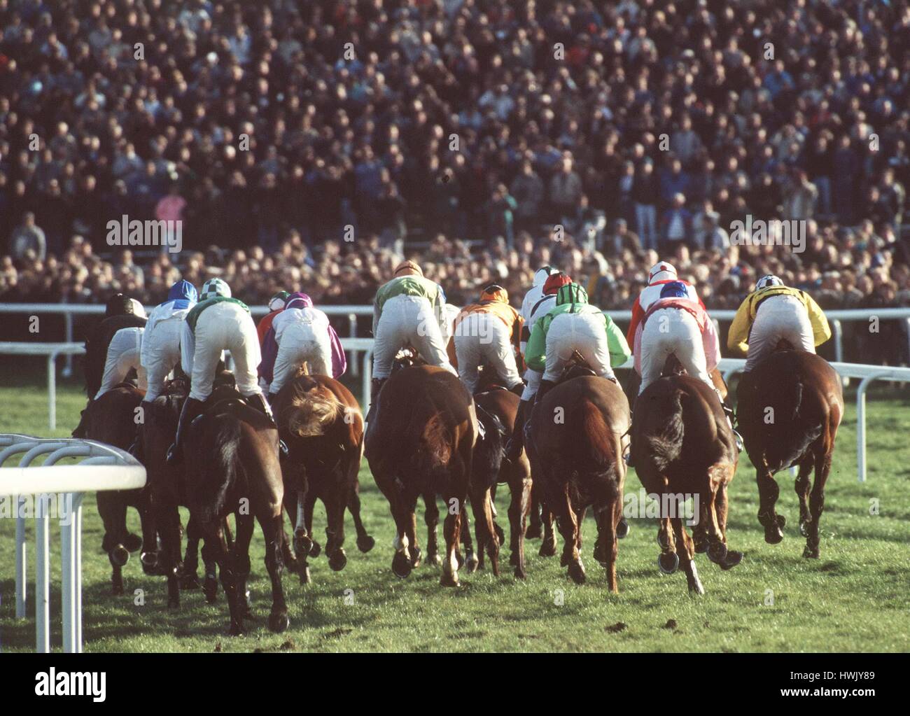 LEAVING THE REST BEHIND CHELTENHAM RACES - BACK VEIW 11 December 1990 Stock Photo