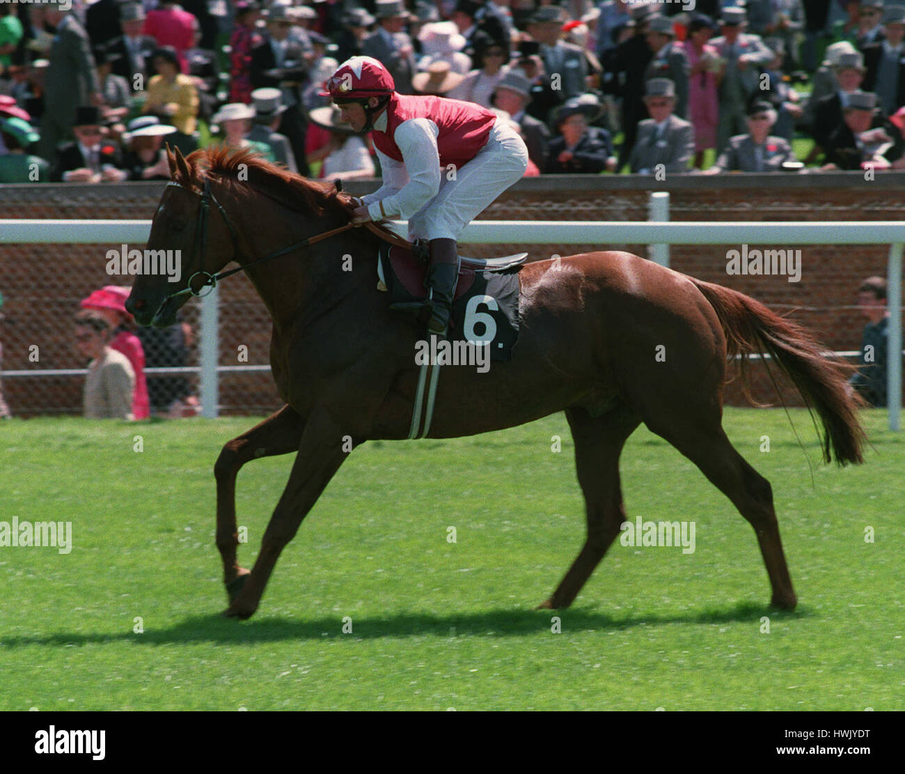 INNER CITY (M ROBERTS) RACEHORSE 30 June 1993 Stock Photo Alamy