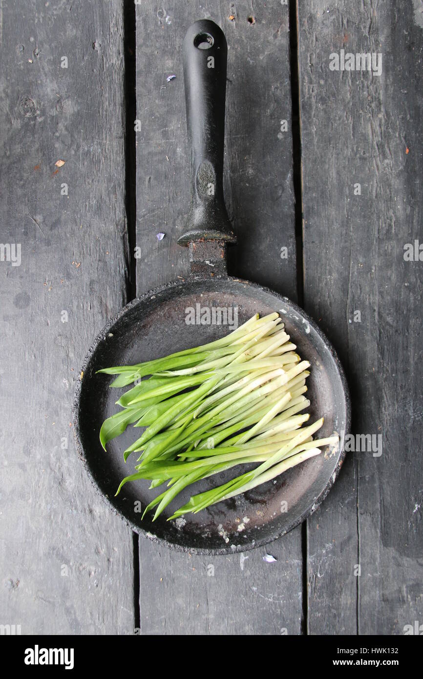 Diet, vegetarian, vegan food, vitamin snack. Ramson or wild garlic Stock Photo