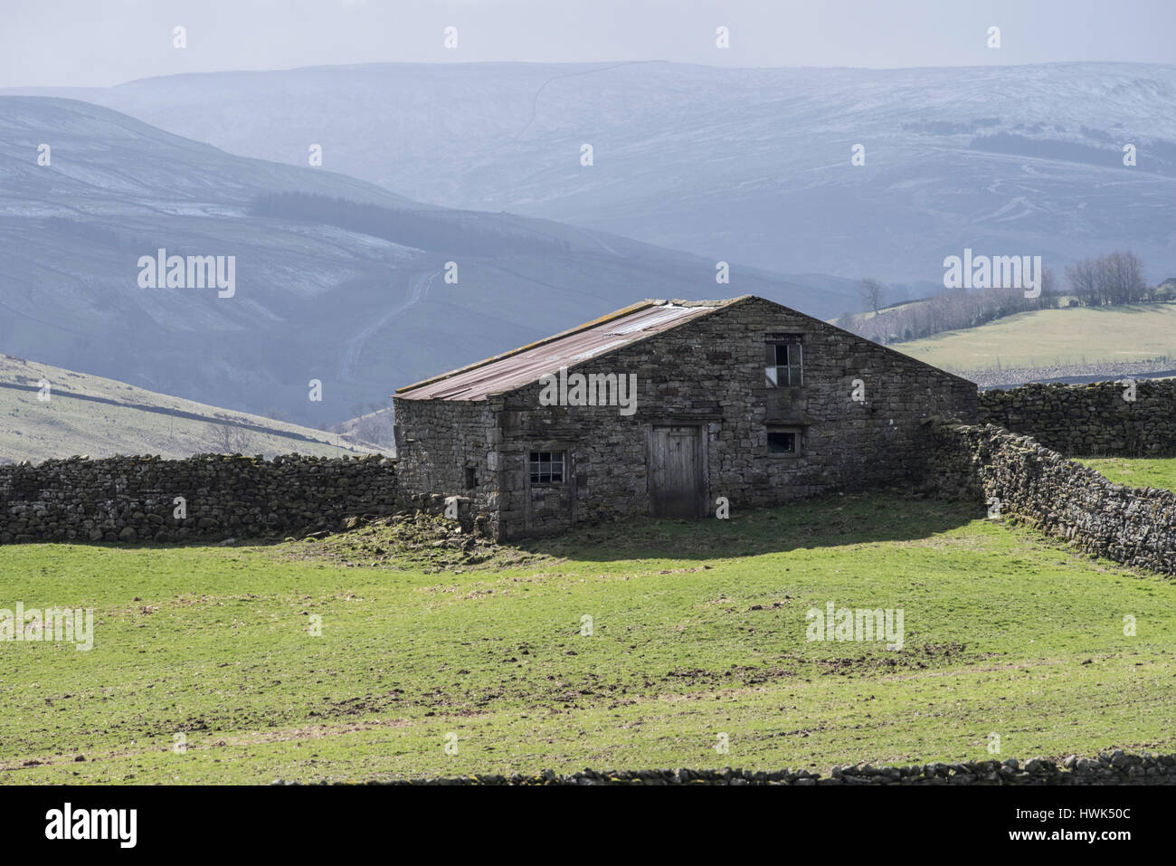 Field barn, Askrigg, Wensleydale, Yorkshire Dales National Park. Typical enclosure period hay barn and drystone walls. View of Raydale in background Stock Photo