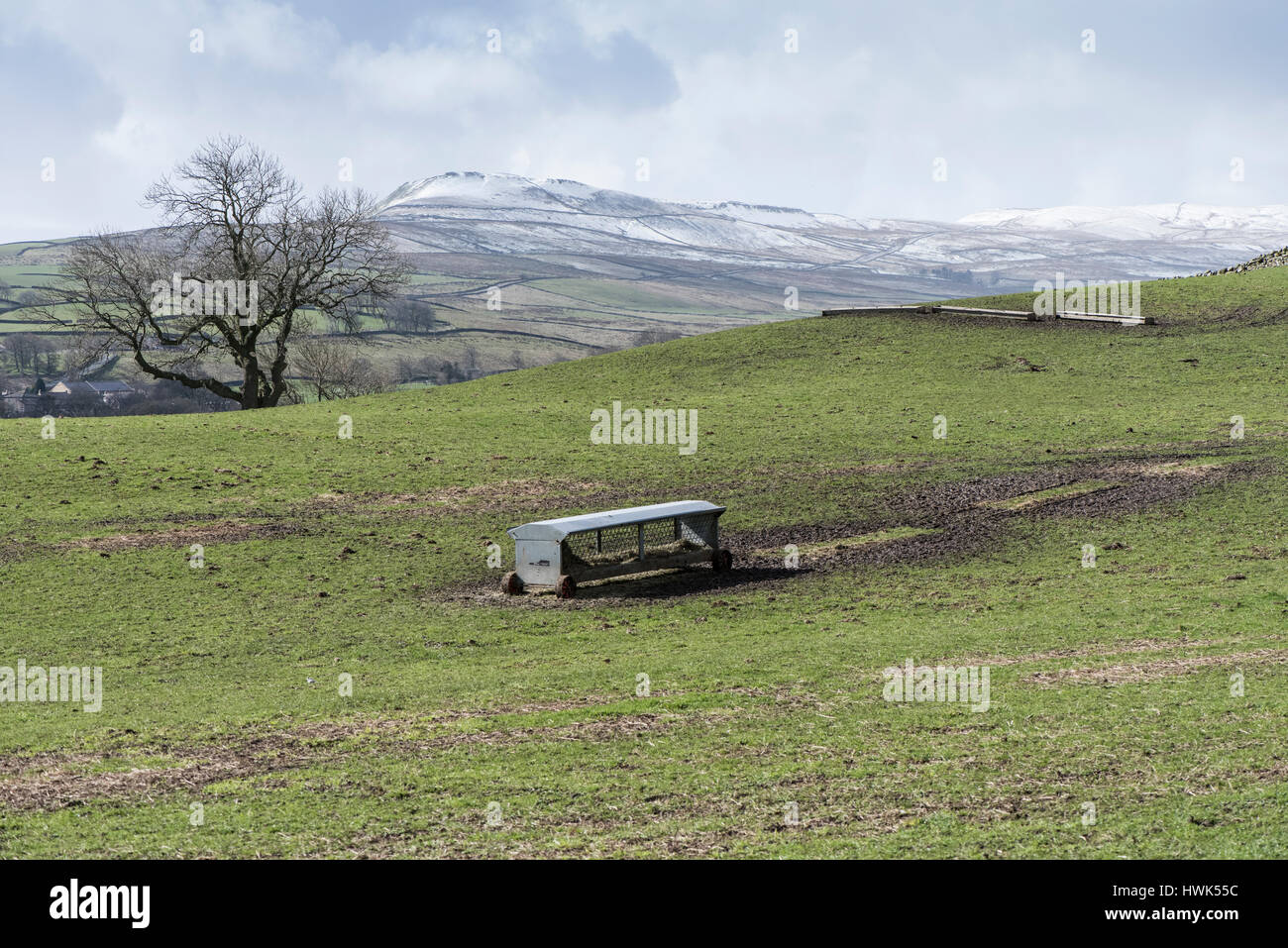 Sheep hayrack on wheels and feeding troughs on upland pasture near Askrigg, Wensleydale, Yorkshire Dales. Yorburgh in the background Stock Photo