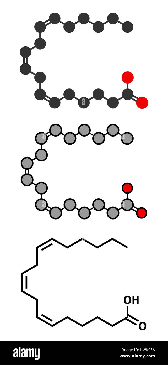 Gammalinolenic acid (GLA, gamolenic acid) molecule. Stylized 2D