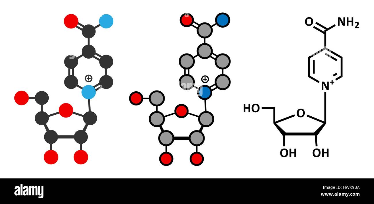 Nicotinamide riboside (NR) molecule. Stylized 2D renderings and conventional skeletal formula. Precursor of nicotinamide adenine dinucleotide (NAD). Stock Vector