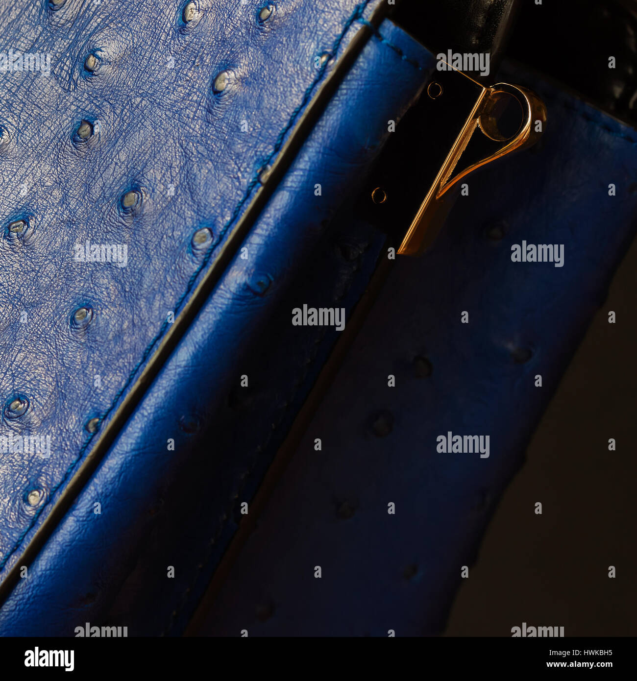 Genuine ostrich leather skin dyed blue Stock Photo - Alamy