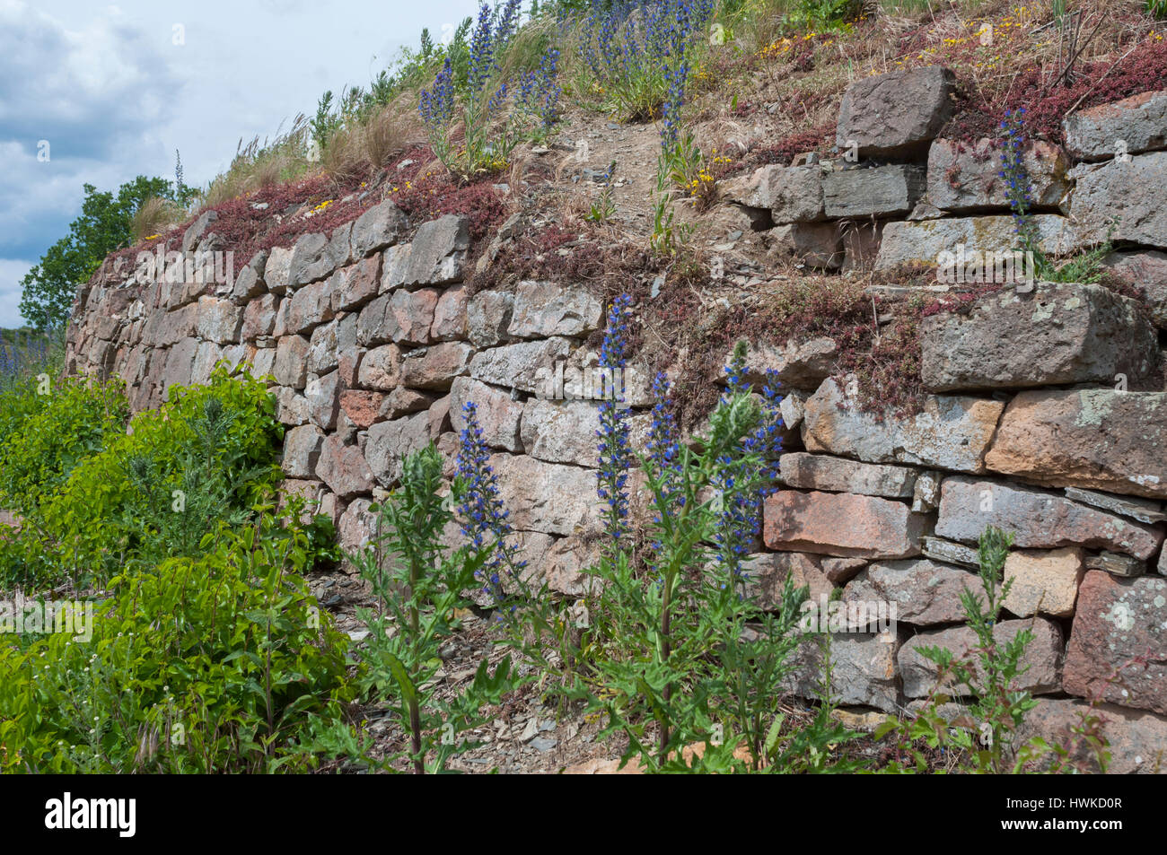 dry stone wall, bad muenster, nahe valley, middle-rhine valley, rheingrafenstein, unesco word heritage, bad kreuznach, Rhineland-Palatinate, Germany Stock Photo