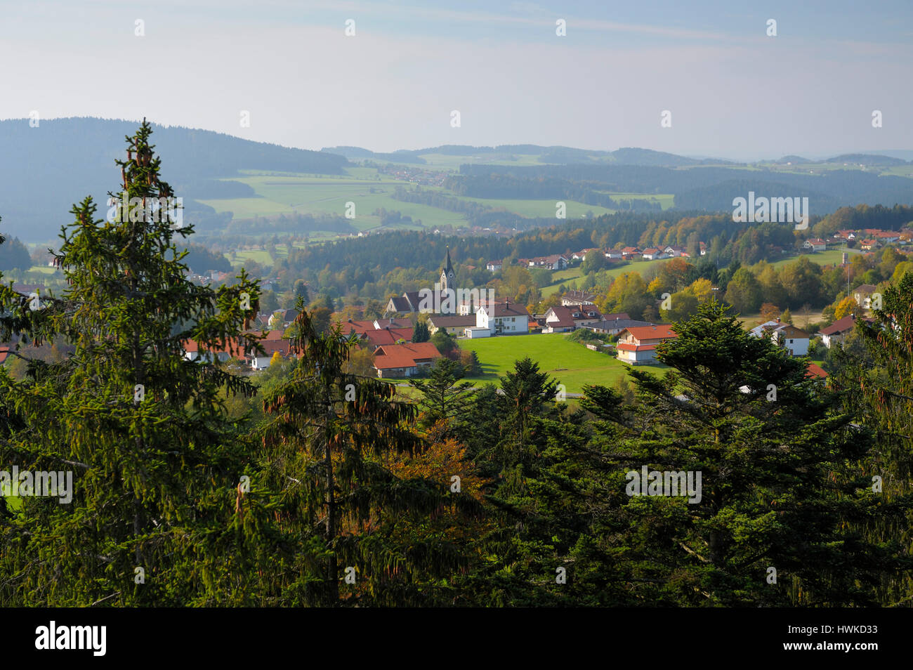 View to neuschonau from treetop walk, october, Bavarian Forest National Park, Germany, NeuschÃ¶nau Stock Photo