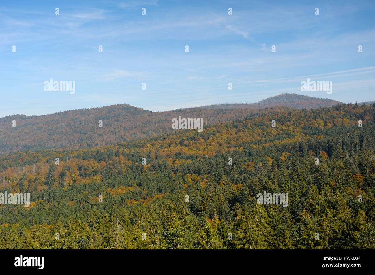 View from treetop walk, october, Bavarian Forest National Park, Germany Stock Photo