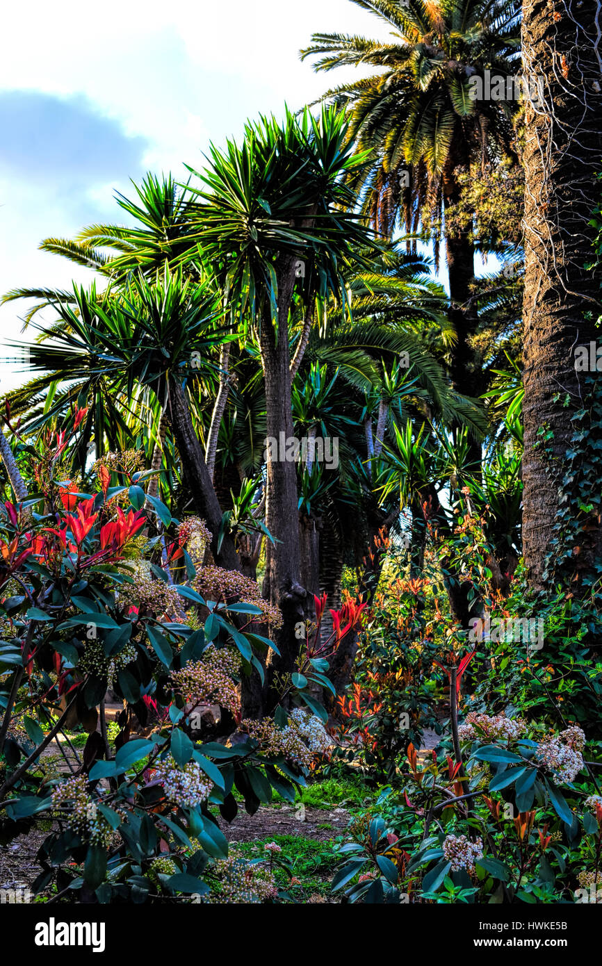 Catalonia Trapeze Top, Garden