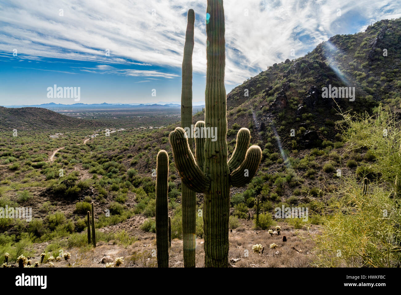 Hiking along the Go John trail in the Cave Creek recreational Area