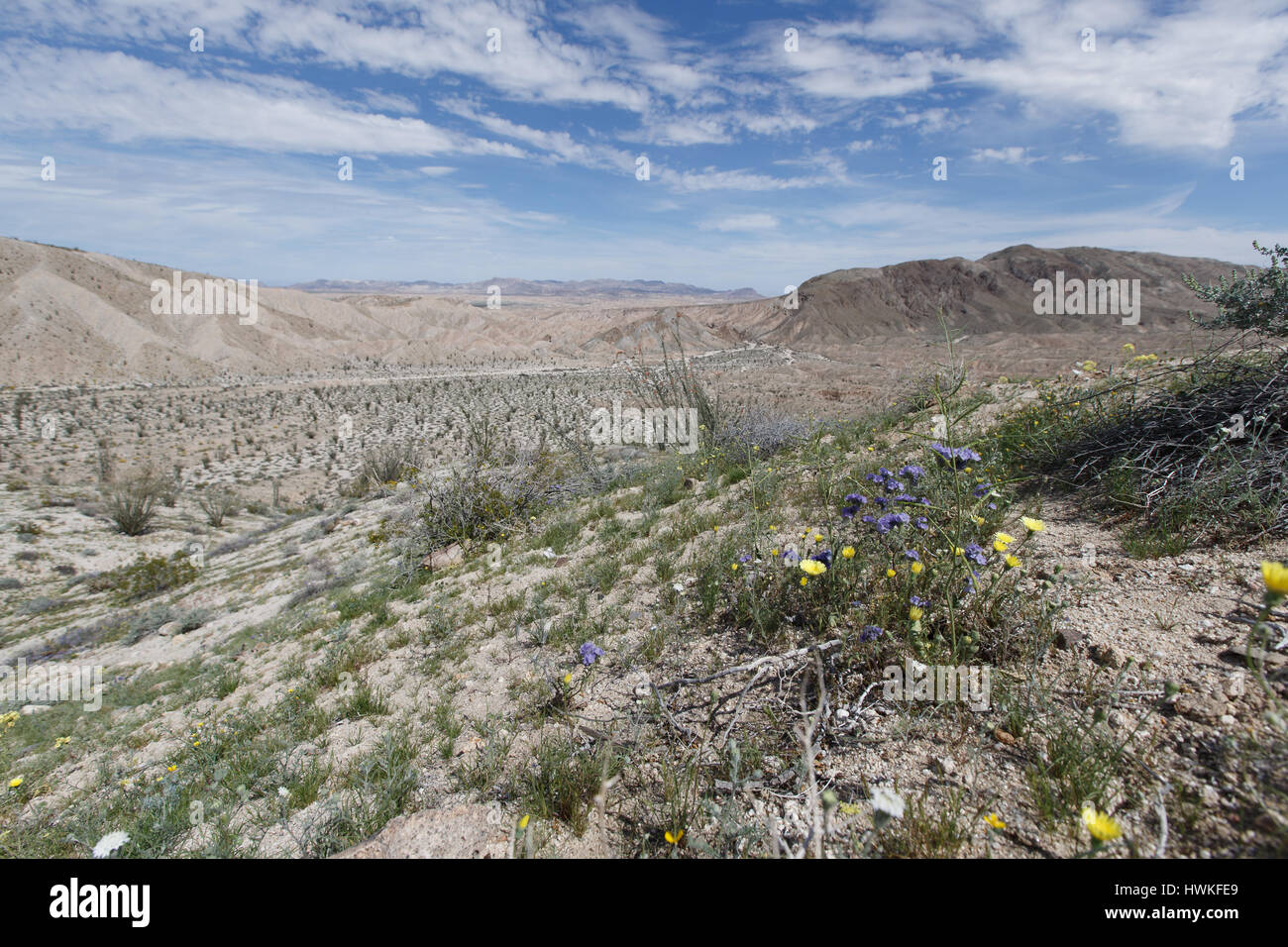 Carrizo springs hires stock photography and images Alamy