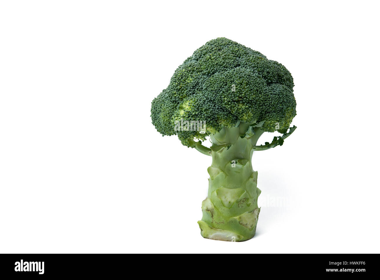 broccoli cabbage Isolated on white background Stock Photo