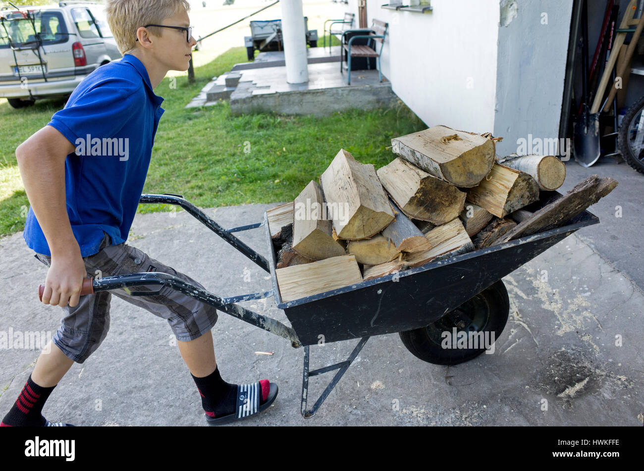 Boy pushing wheelbarrow full of firewood up the garage driveway. Polish
