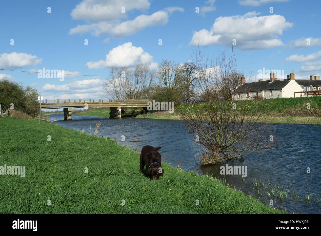 The New Bedford River at Sutton Gault with the Anchor Inn in the