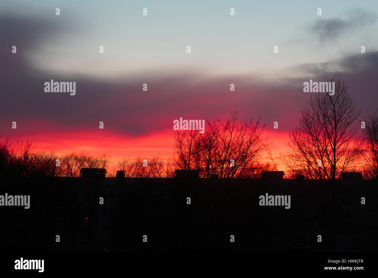 Colorful sunset on a multi-storey building and dry trees. Stock Photo