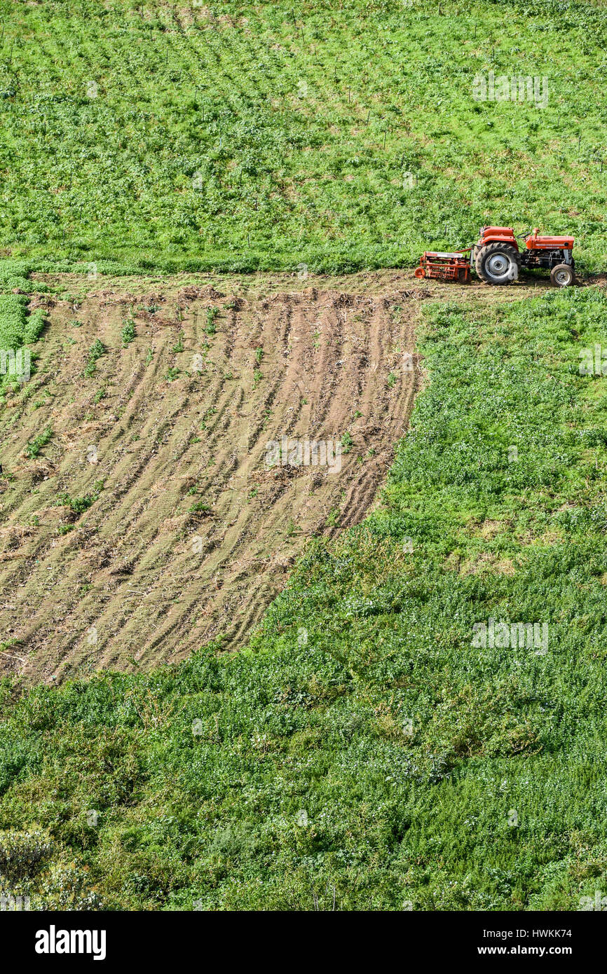 Red tractor in the fields working and preparing soil for the season Stock Photo