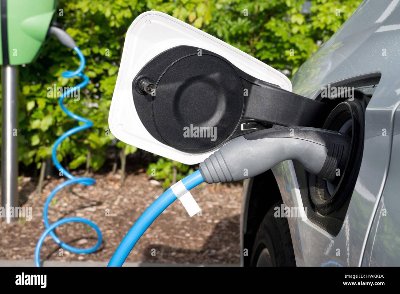 electric car being charged Stock Photo Alamy
