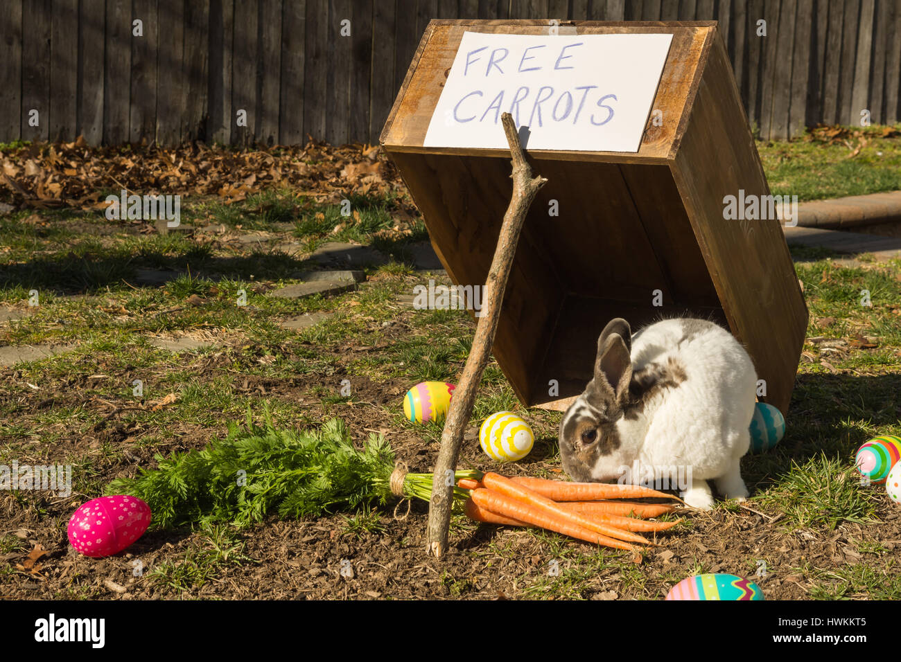 Catching the Easter Bunny Stock Photo Alamy