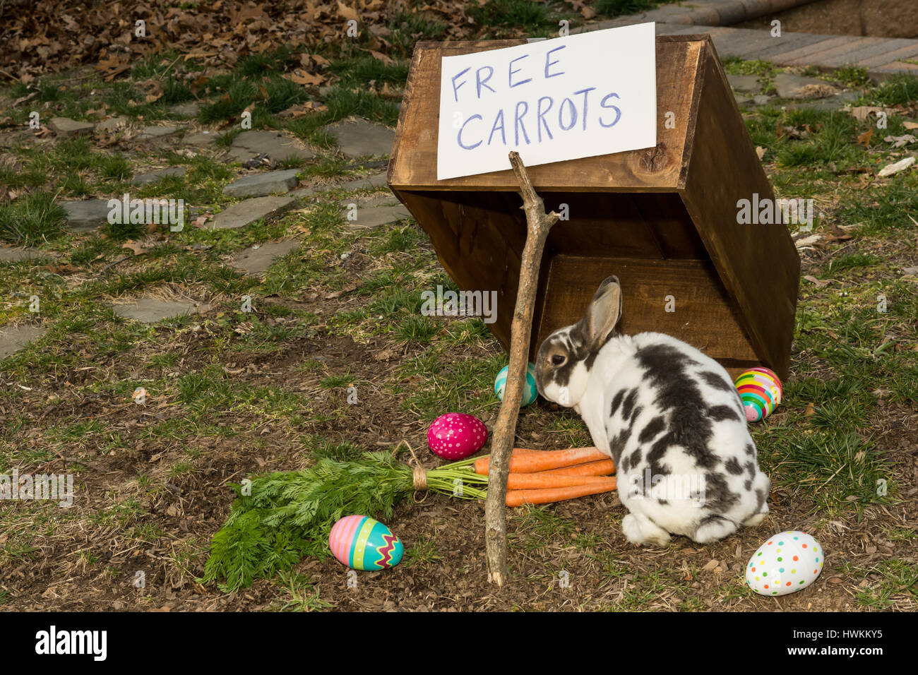 Catching the Easter Bunny Stock Photo Alamy