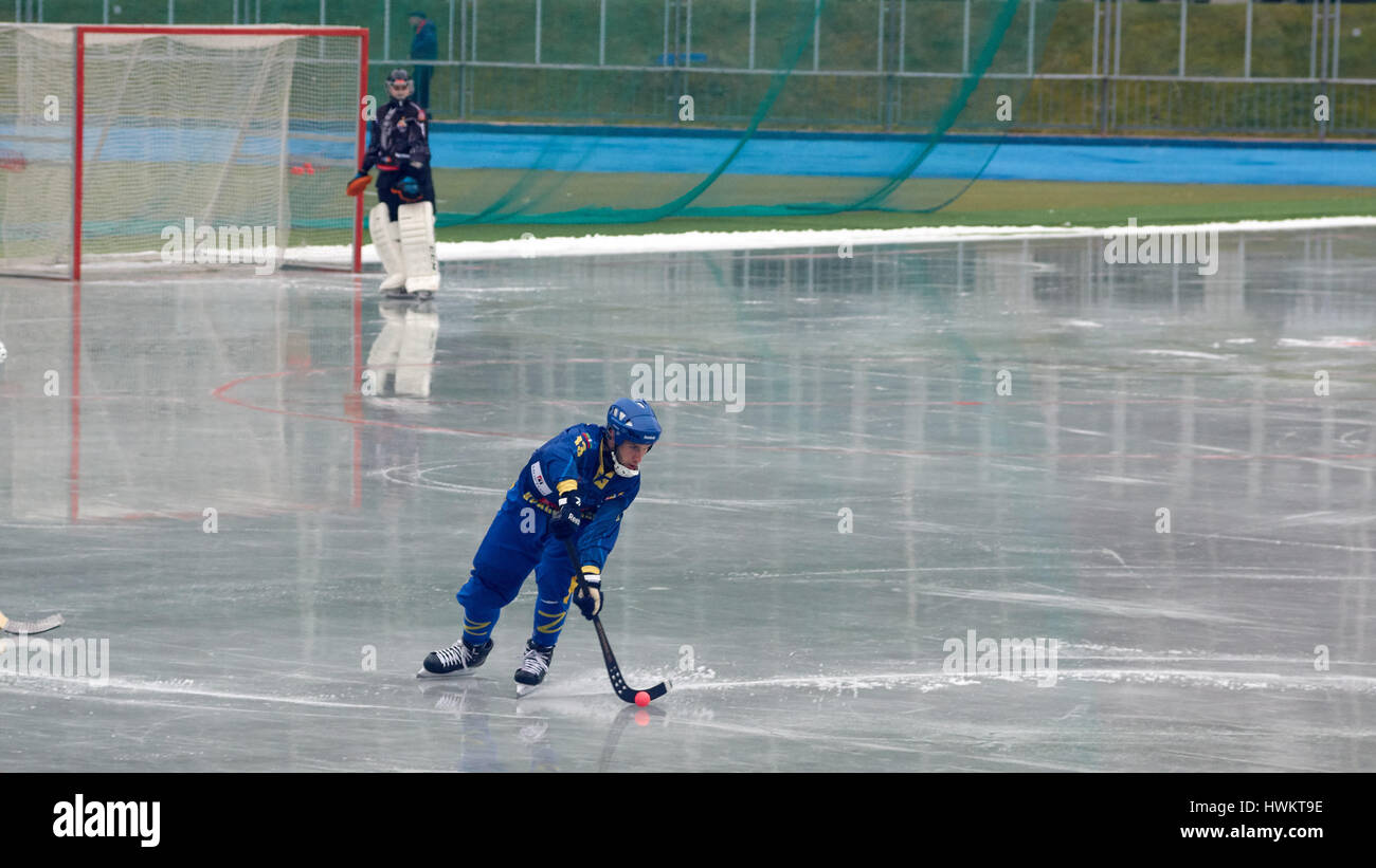 The game of hockey. Training games Stock Photo Alamy