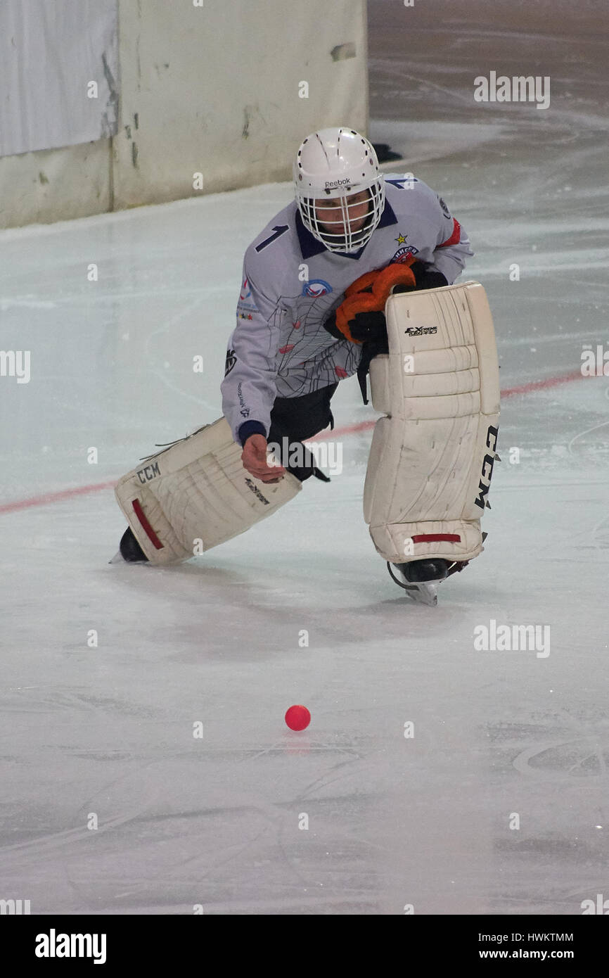 The game of hockey. Training games Stock Photo Alamy