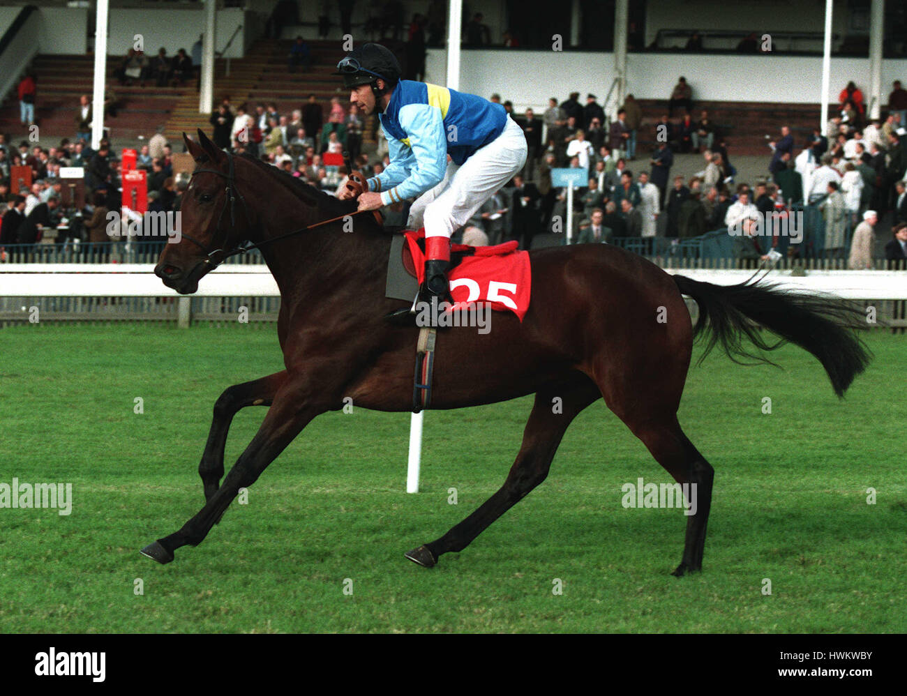 FLEUR DE TAL RIDDEN J CARROLL RACEHORSE 30.9.93 07 October 1993 Stock Photo