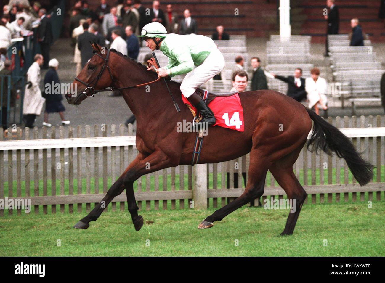 Quinn hunter hires stock photography and images Alamy