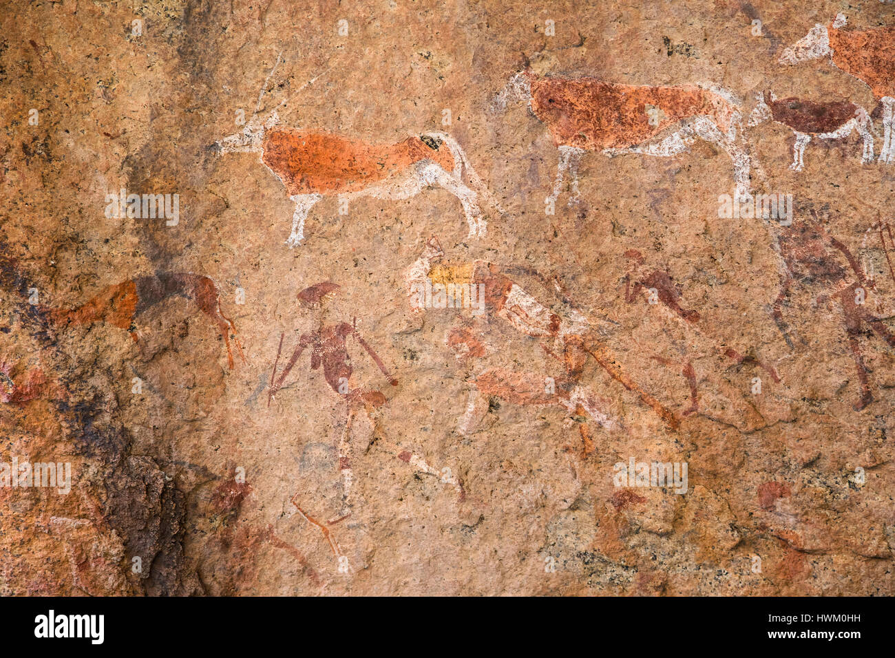 The White Lady of Brandberg, rock painting, Brandberg Mountain, Damaraland, Central Namibia, by Monika Hrdinova/Dembinsky Photo Assoc Stock Photo