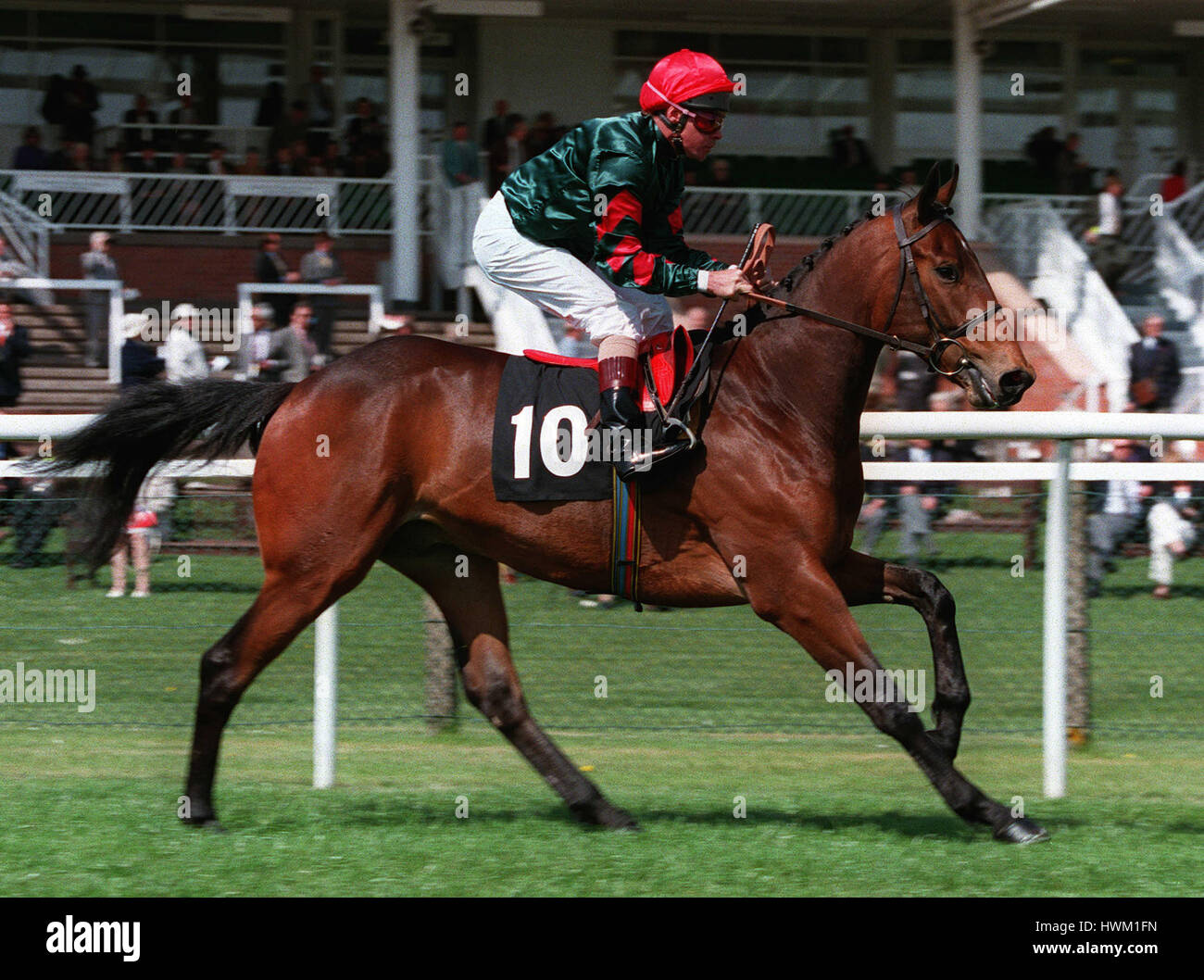 MAN OF WIT RIDDEN BY BRENT THOMPSON 25 April 1995 Stock Photo