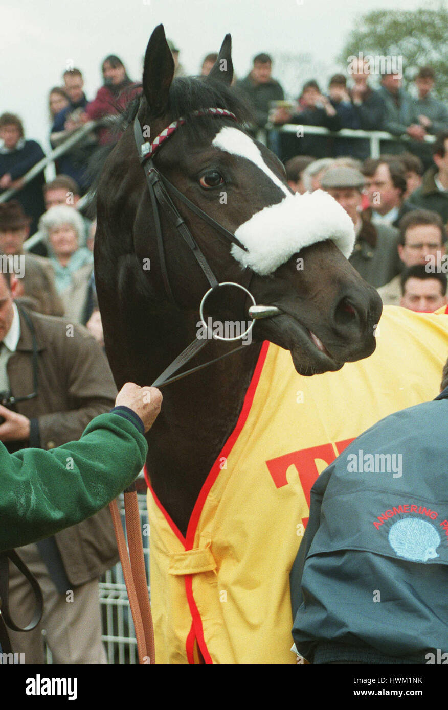 CELTIC SWING RACE HORSE 27 April 1995 Stock Photo - Alamy
