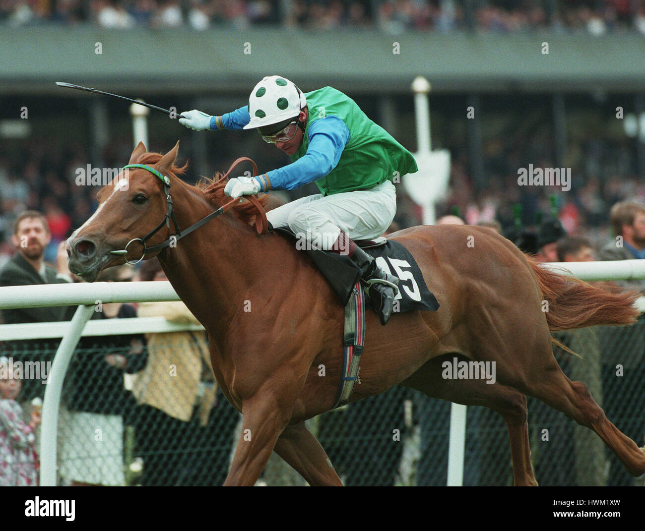 RUSSIAN REVIVAL WINS WATERSHIP DOWN MAIDEN.(BRENT THOMPSON) 24 May 1995 Stock Photo