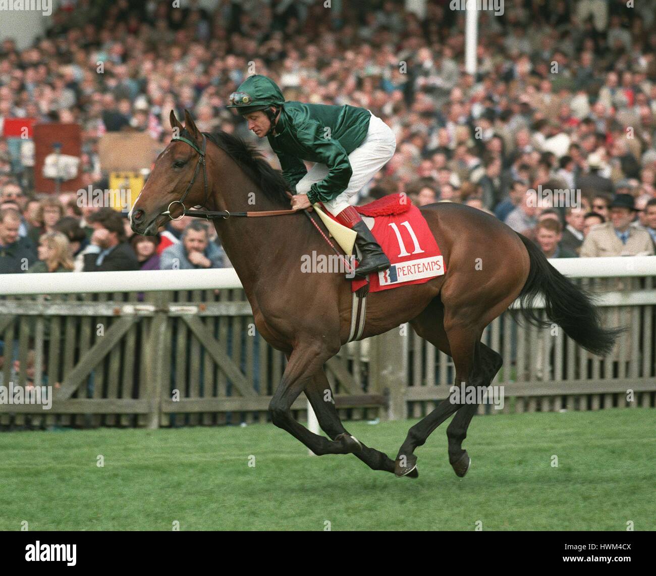 STORM TROOPER RIDDEN BY PAT EDDERY 06 May 1996 Stock Photo