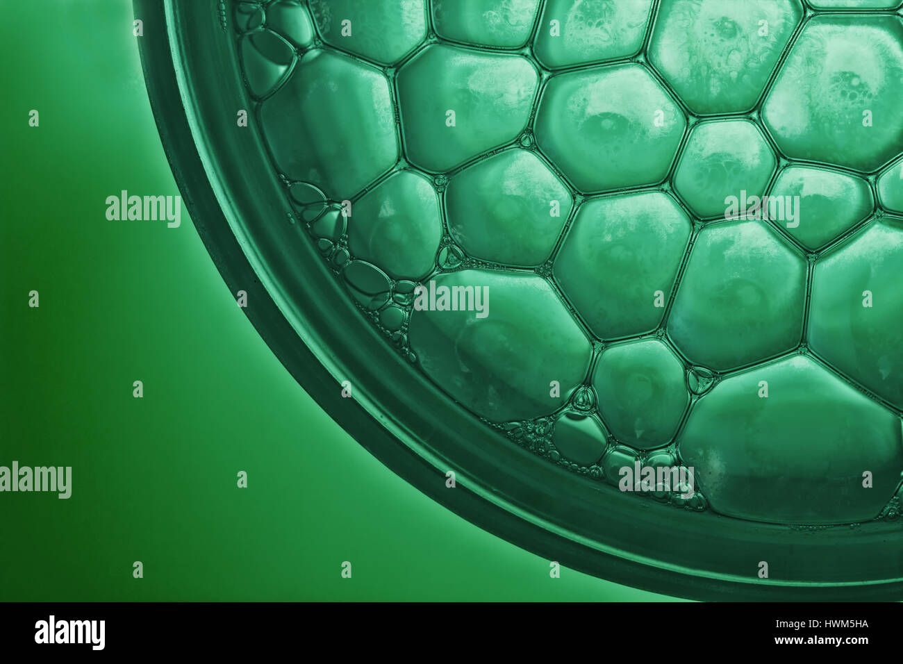 green background Stock Photo