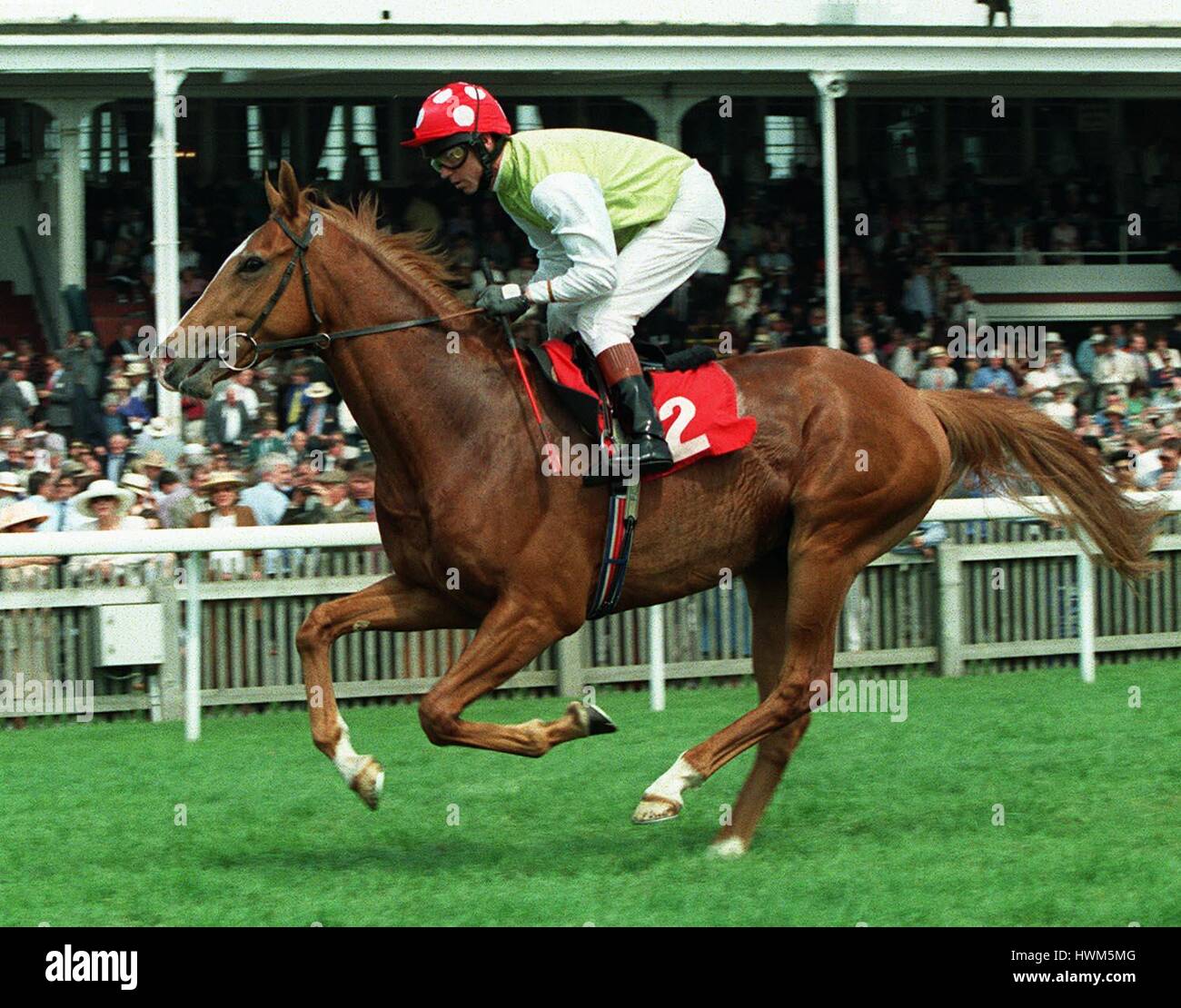 SINGLE EMPIRE RACE HORSE 23 May 1997 Stock Photo Alamy