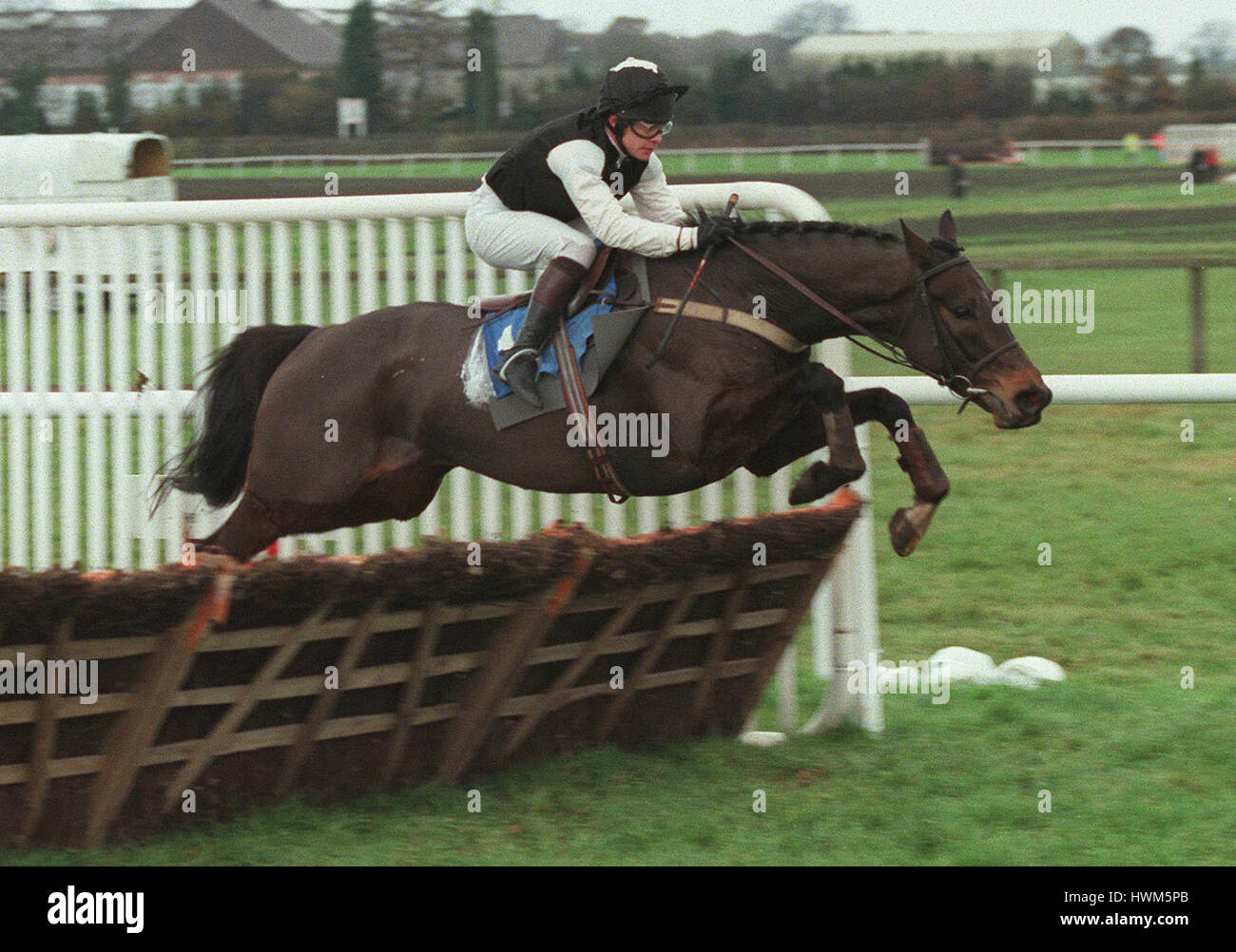 INDICATOR RIDDEN BY ADRIAN MAGUIRE 11 November 1997 Stock Photo