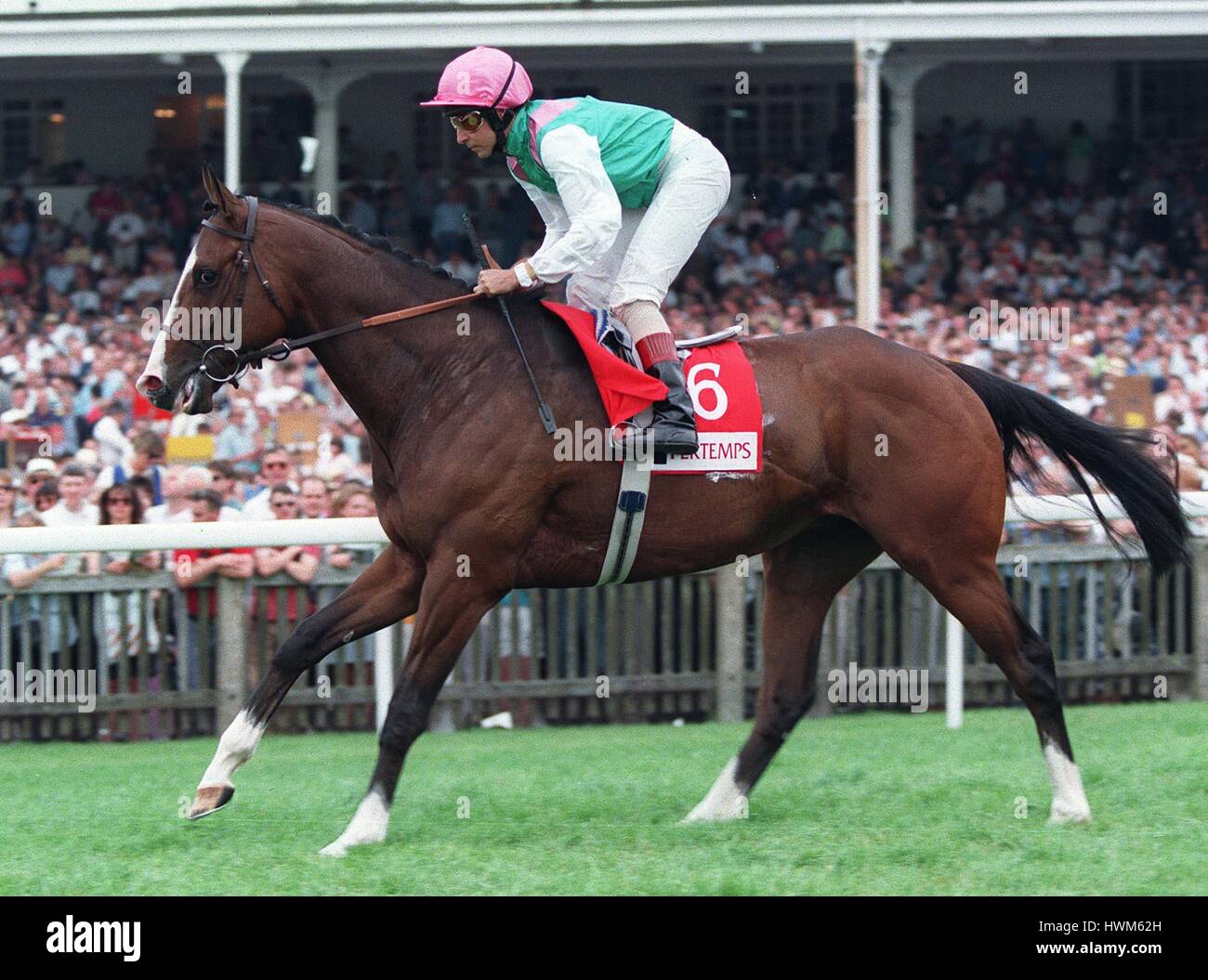 ZAMINDAR RIDDEN BY THEIRRY JARNET 23 May 1997 Stock Photo