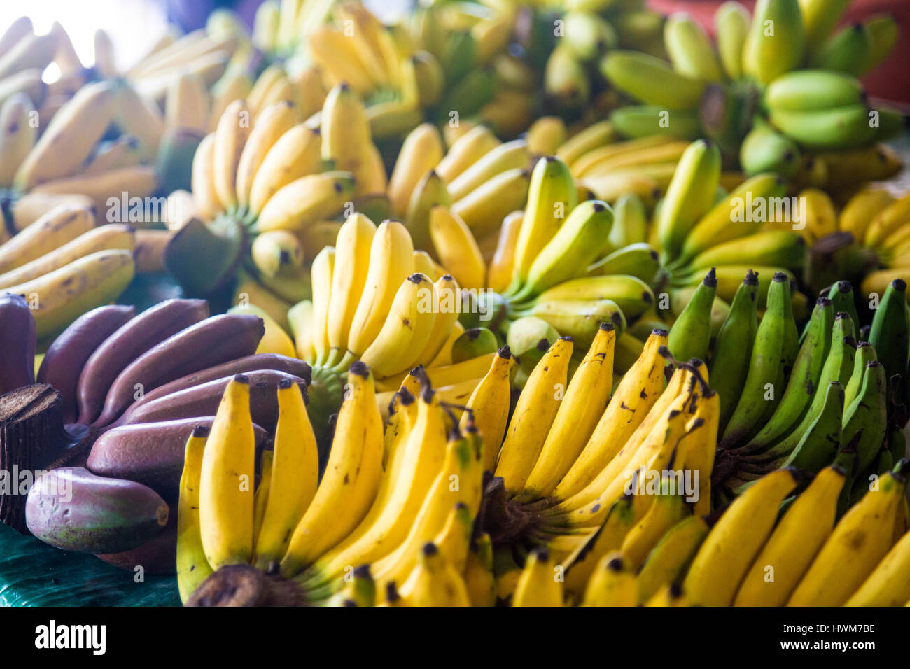 Bananas displayed at Khlong Lat Mayom Floating Market, Bangkok Thailand Stock Photo
