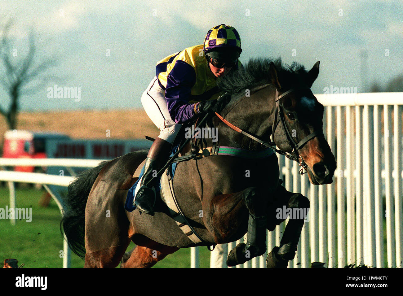 DONT FORGET CURTIS RIDDEN BY MISS S. LAMB 10 November 1998 Stock Photo