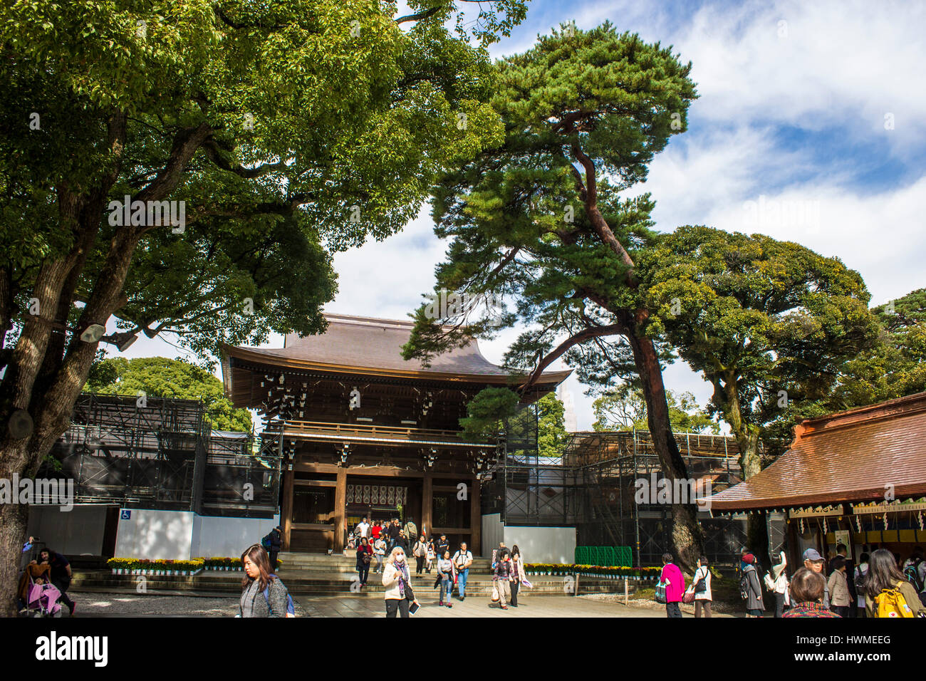 meiji, jingu, shrine, shinto, tokyo, japan, autumn, leaves, momiji, red, momijigari, fall, colors, foliage, leaf, peeping, koyo, kanpukai, maple, asia Stock Photo