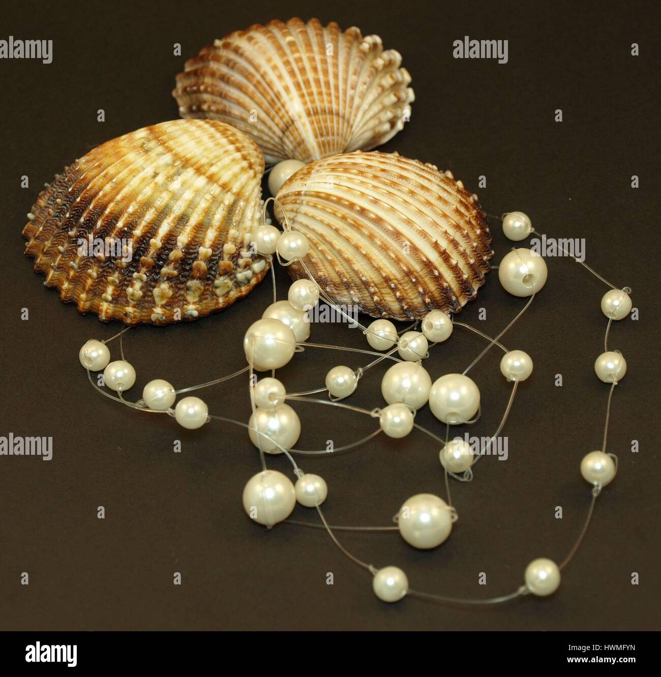 Shell with pearls Stock Photo