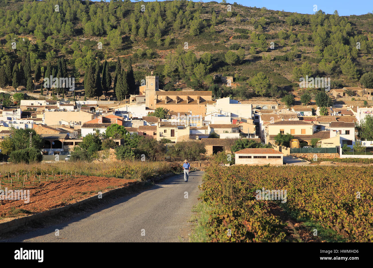 Road through vineyard to village of Lliber, Marina Alta, Alicante province, Spain Stock Photo