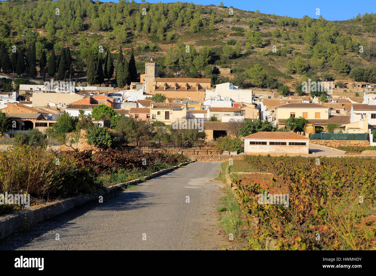 Road through vineyard to village of Lliber, Marina Alta, Alicante province, Spain Stock Photo
