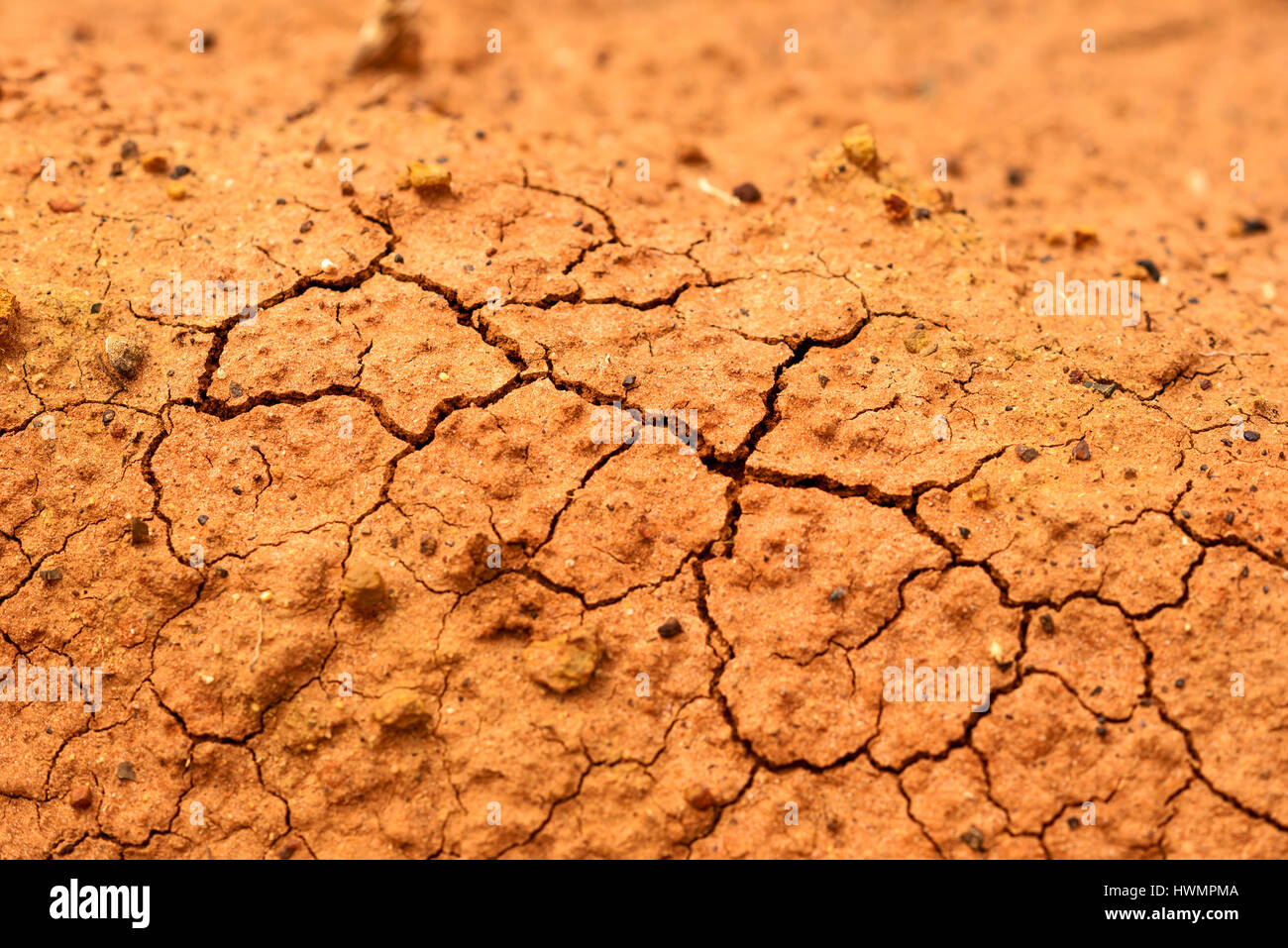 Dry earth, dryness, drought, outback, Australia, Western Australia, Down under Stock Photo