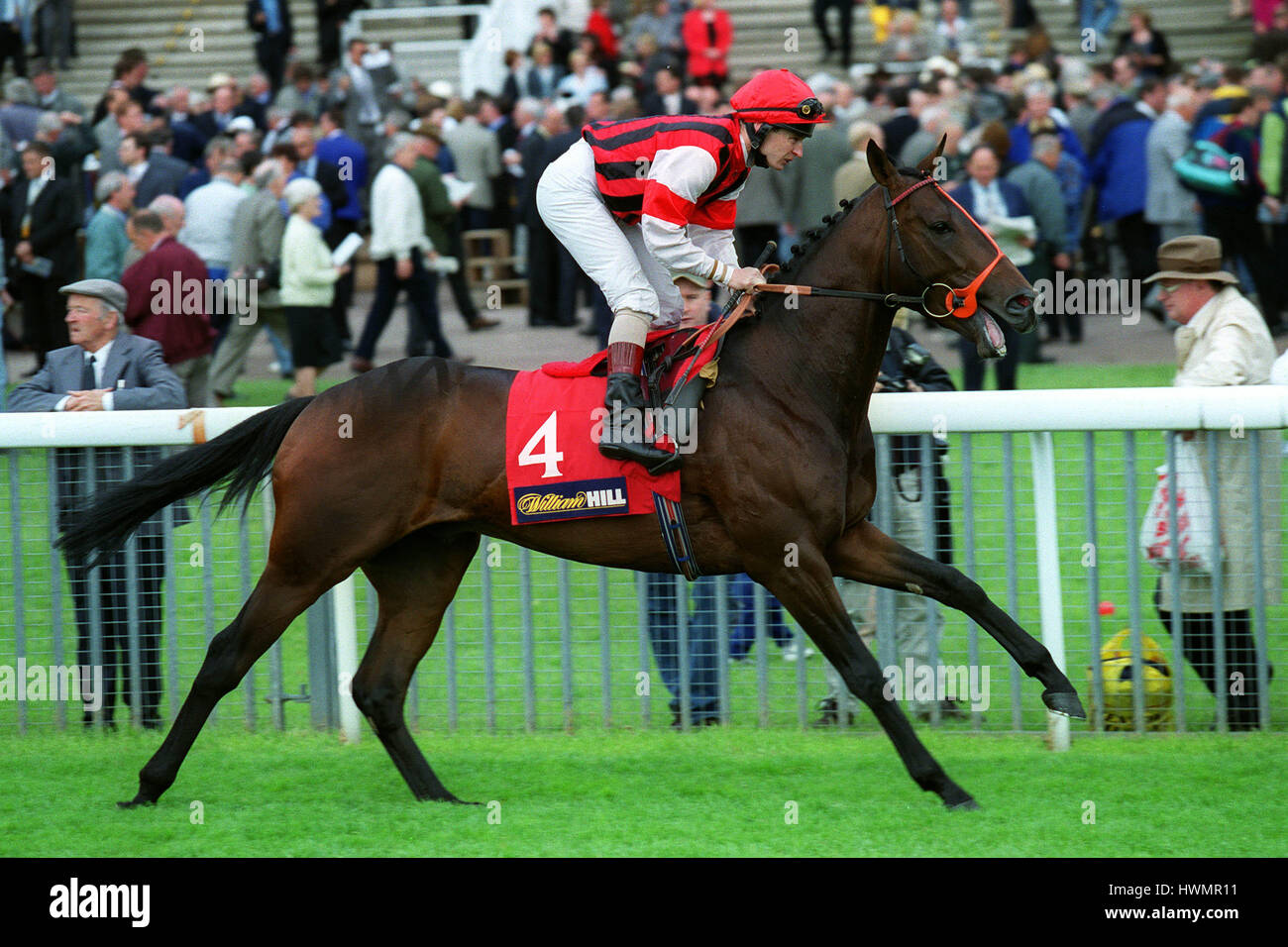 POLES APART RIDDEN BY S.DROWNE 13 May 1999 Stock Photo