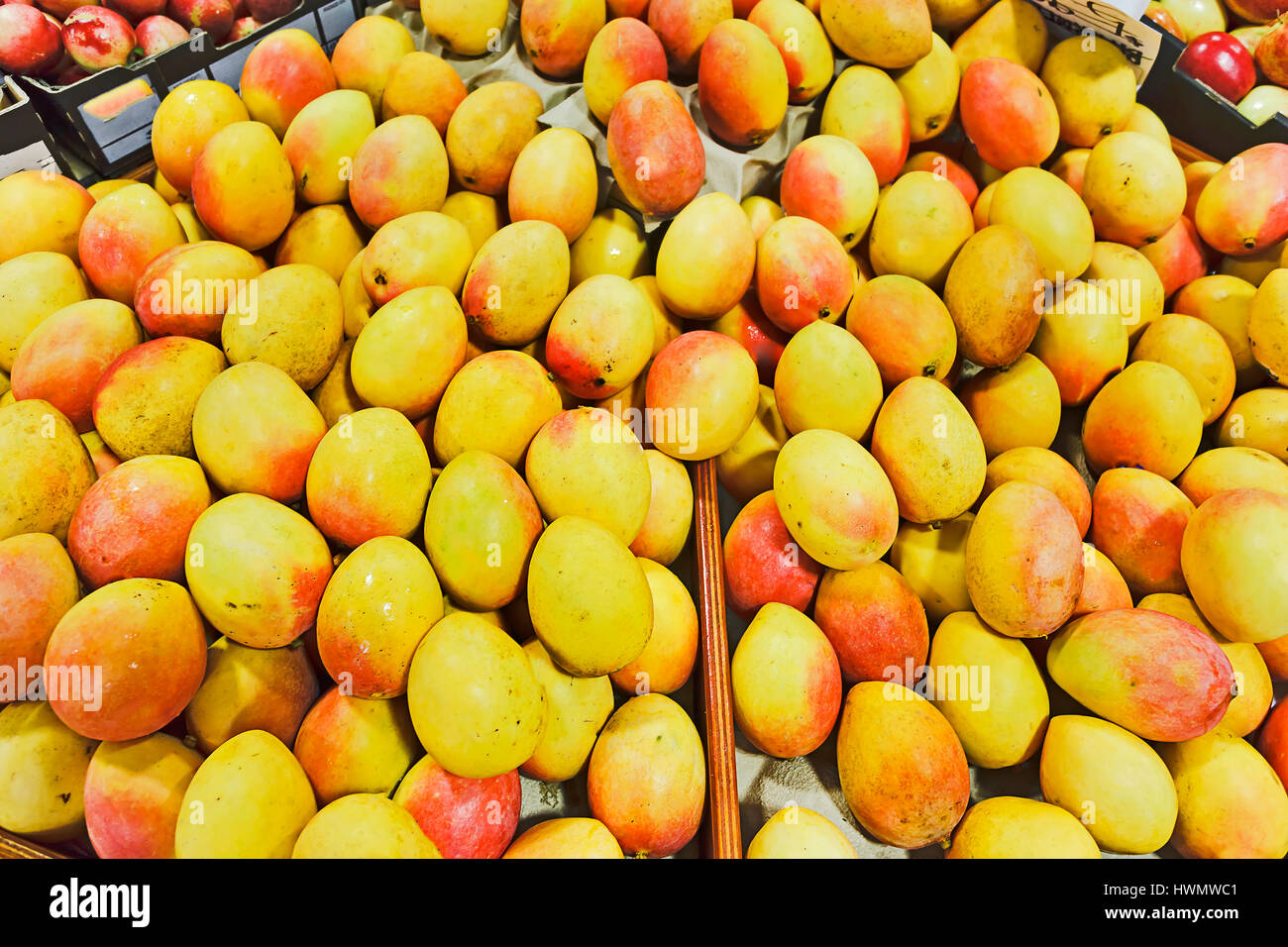 Boxes of fresh sweet juicy mangoes on a counter of local farm market in ...