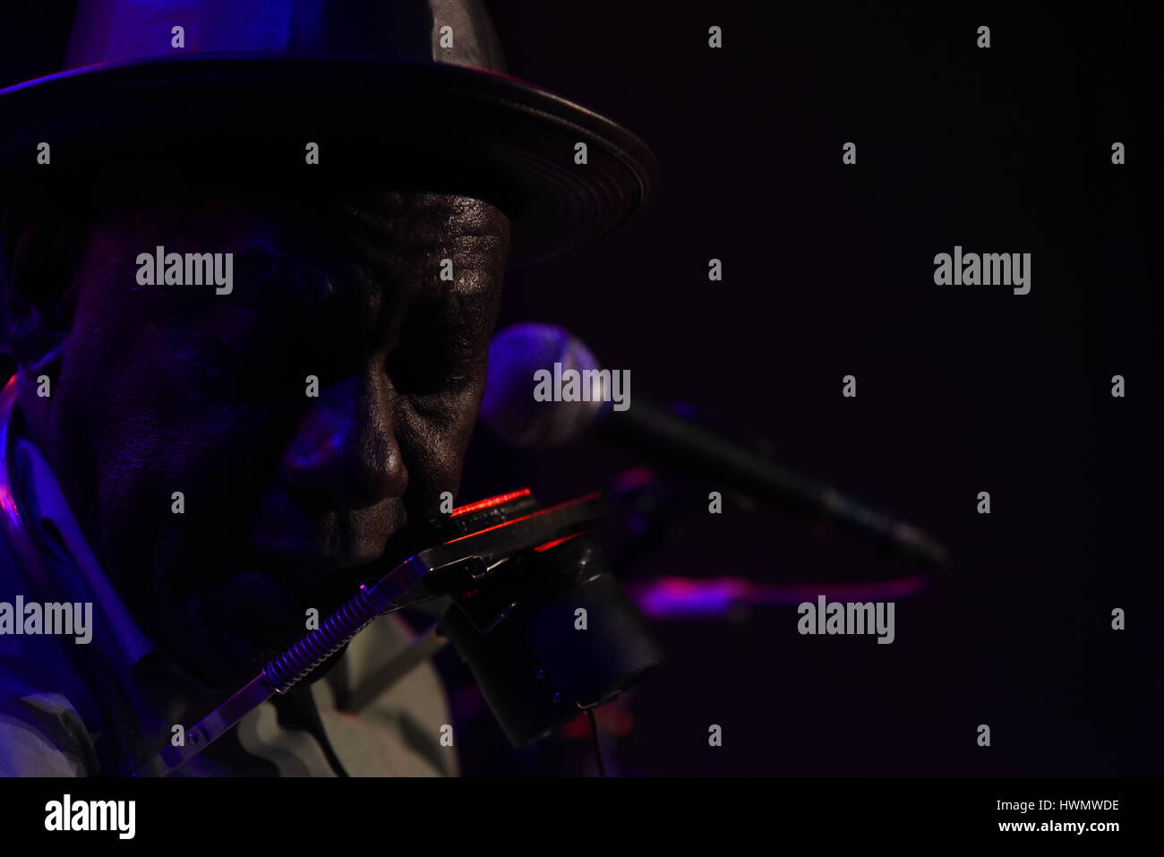 Madrid, Spain. 21st Mar, 2017. The American blues musician Richard 
