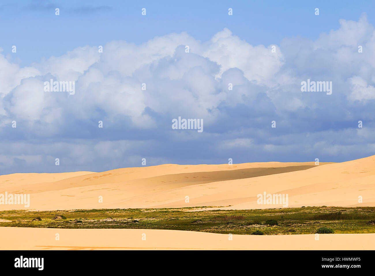 Various colours of sand dunes from green field of mini oasis to lifeless masses of nomadic sands along stockton beach, Port Stephens, Australia. Stock Photo
