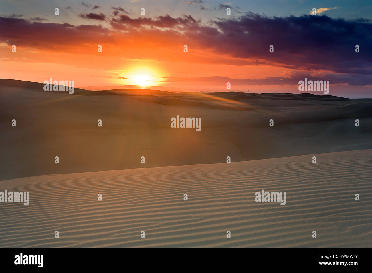 Bright rising sun over land horizon in sand dunes of Stockton beach, NSW, Australia. Striped structure of soft sand hills under gentle warm beams of s Stock Photo
