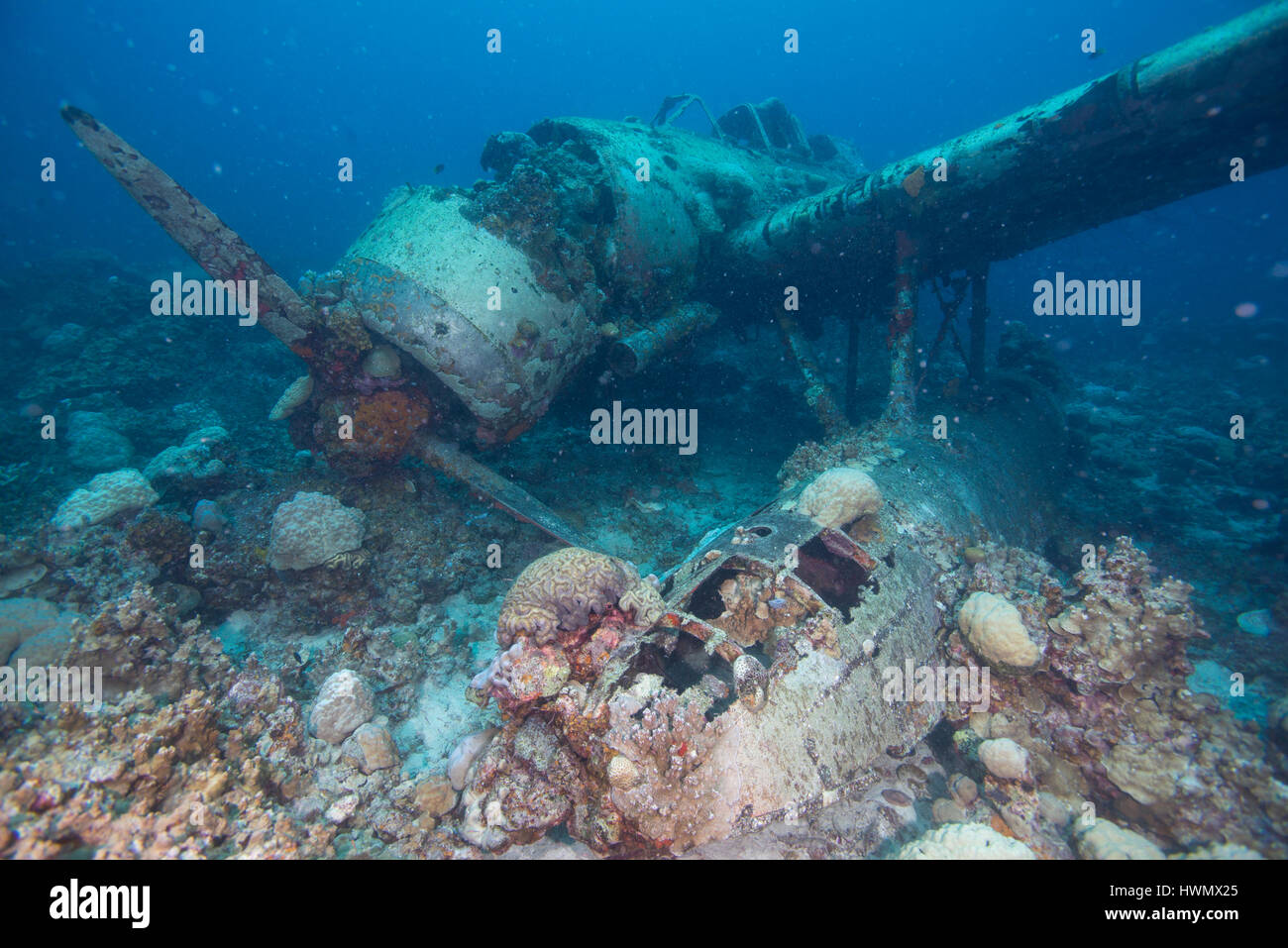 Jake Seaplane Wreck, Palau islands, Pacific Ocean, Stock Photo