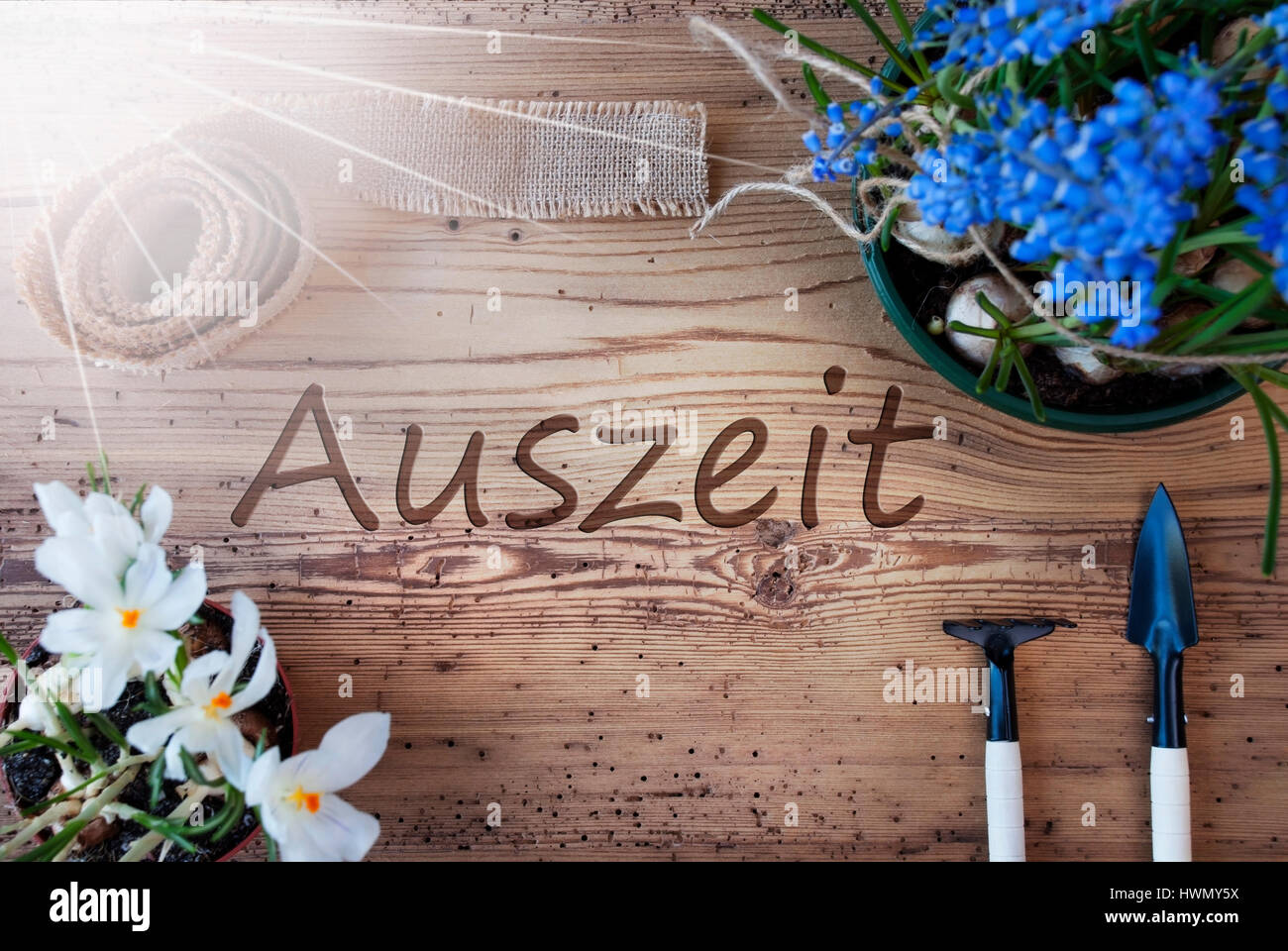 Sunny Spring Flowers, Auszeit Means Downtime Stock Photo
